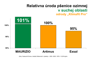 Maurizio